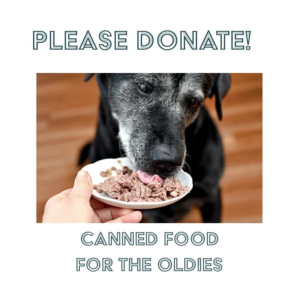 Donate Canned Food for Older Dogs