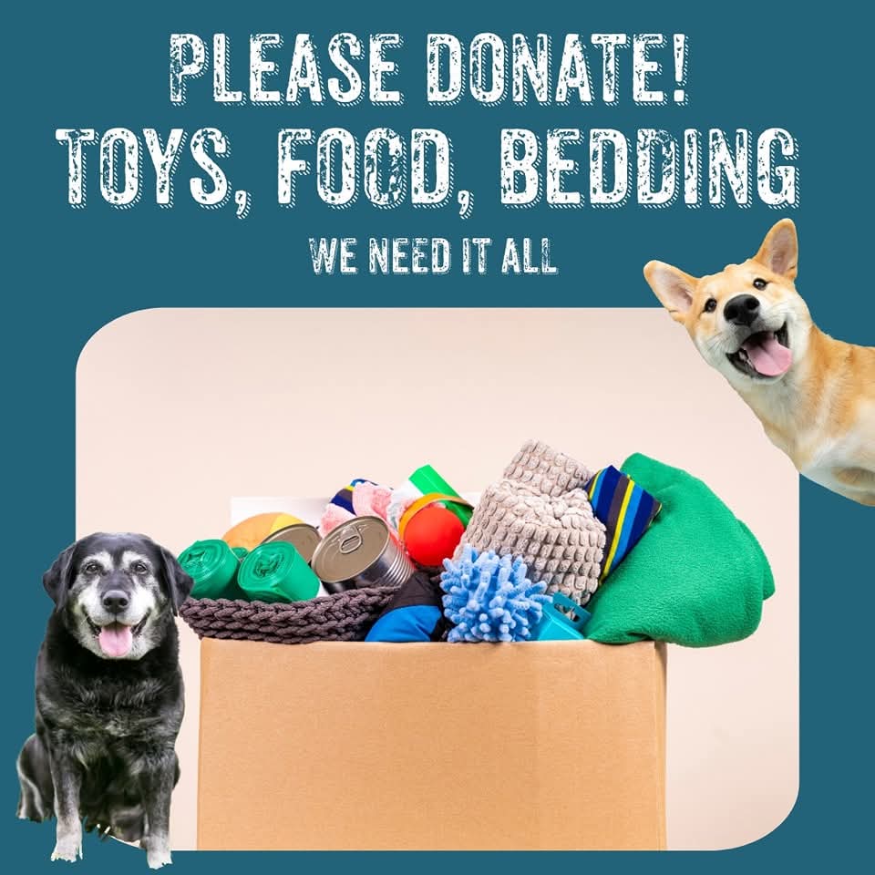 Donate Toys, Food, and Bedding