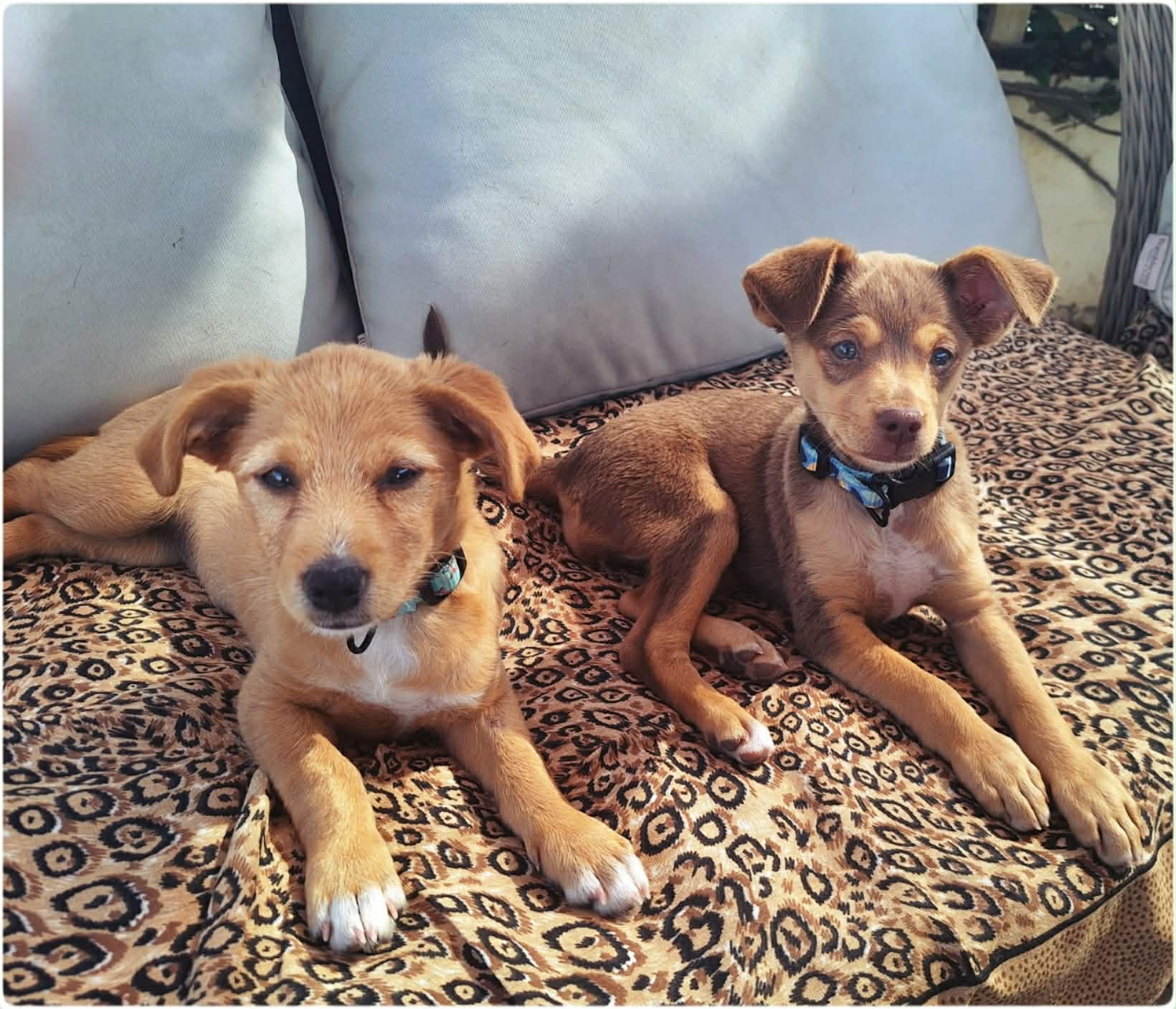 Volunteers Wanted at Charity Shop